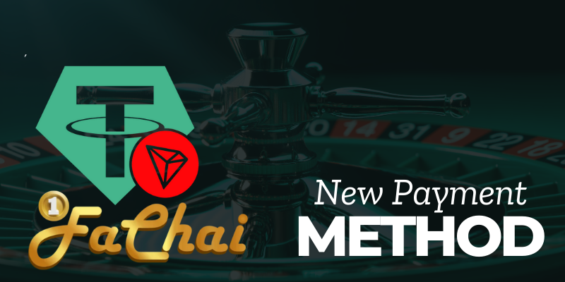 new payment method usdt